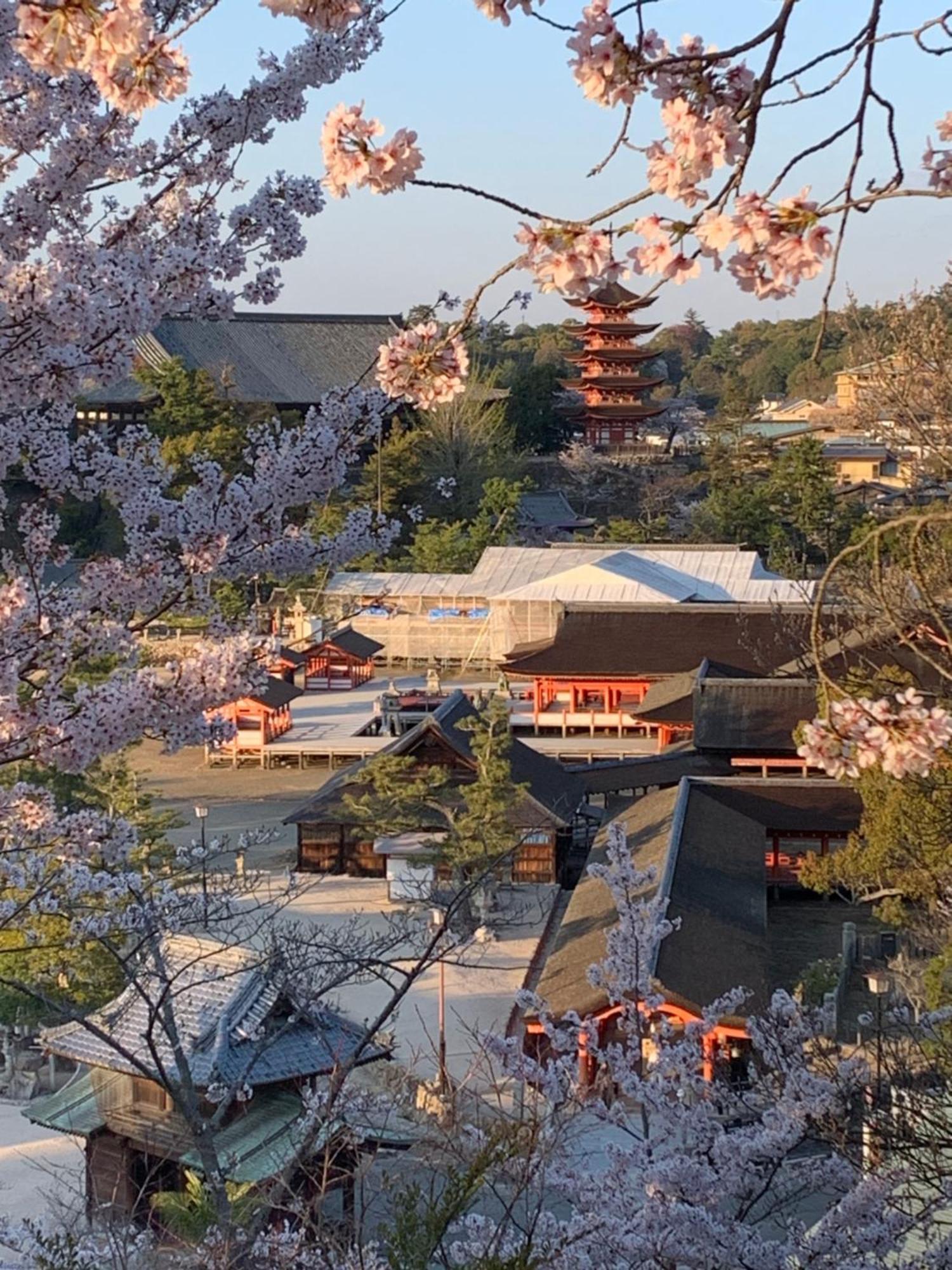 宮島 町家宿 進龍庵 Hatsukaichi Exterior foto